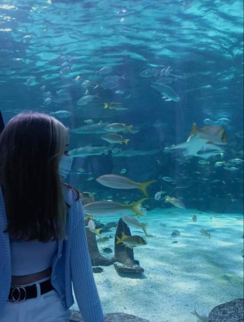 Fish Aesthetic, Aquarium Pictures, Aesthetic Ocean, World Water Day, Water Day, Sealife, Korean Girl, Fish Pet, Fish