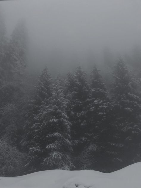 Snowy Apocalypse Aesthetic, Creepy Snowy Forest, Winter Storm Aesthetic, Winter Horror Aesthetic, Avalanche Aesthetic, Snowstorm Aesthetic, Snow Storm Aesthetic, Snowy Forest Aesthetic, Foggy Winter