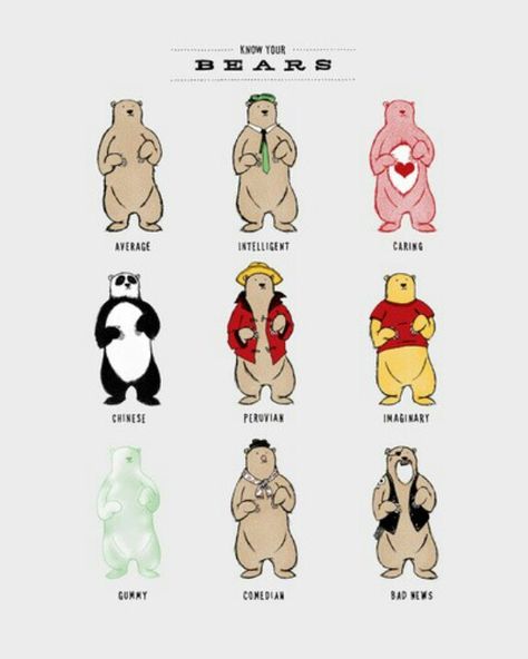 Do you know your Bears? Funny Charts, Funny Bears, Bear Illustration, Love Bear, Bear Art, Bear Print, Pics Art, Bones Funny, Make Me Happy