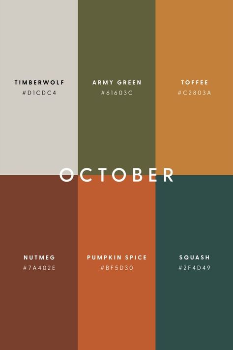 Color Design Inspiration, Hex Color Palette, Bedding Inspiration, Color Schemes Colour Palettes, Fall Color Palette, Color Palate, Color Palette Design, Stylish Bedroom, Hex Colors