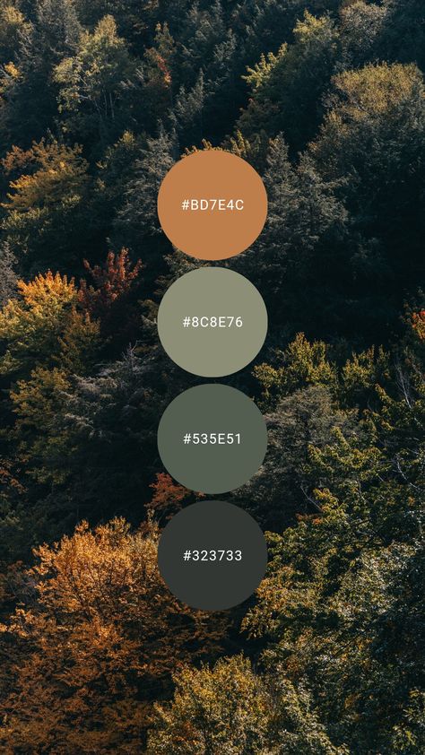 A trio of cool green paired with pumpkin give autumn vibes. Try it in the living room, kitchen, bedroom or at the cabin / cottage. #colourpalette #colorpalette #colour #color #palette #Spruce #forest #green #nature #orange #trees Green Orange Color Palette Bedrooms, Forest Colour Pallet, Forest Color Pallette, Camping Colour Palette, Black Green Orange Color Palette, Forest Colour Scheme, Forest Tones Colour Palettes, Walnut And Green Color Palette, Forest Green Color Palette Bedroom