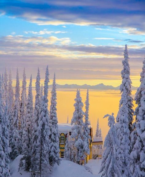 *🇨🇦 Silverstar Mountain sunrise (British Columbia, Canada) by Noa Deutsch on 500px 🌅❄️ British Columbia Winter, Canada Aesthetic, West Coast Canada, Vernon Bc, Vancouver City, Mountain Sunrise, Okanagan Valley, Beautiful Canada, Canada Eh