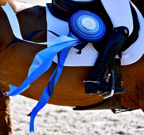 Alden Corrigan Media, Sonoma Horse Park, Horse Show Photography, Blue Ribbon Equestrian Ribbons, Horse Show Aesthetic, Diy Jumps, Hunter Derby, Horse Show Ribbons, Equestrian Jumping, Horse Ribbons, Show Photography, Dream Stables