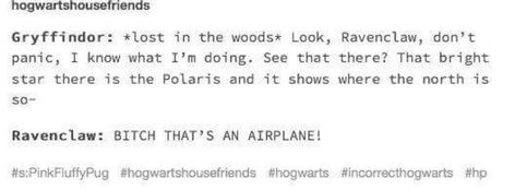 Gryffindor Ravenclaw Relationship, Gryffinclaw Relationship, Gryffindor X Ravenclaw Relationship, Lost In The Woods, Harry Pottah, Hogwarts Houses, Ravenclaw, The Marauders, Hogwarts