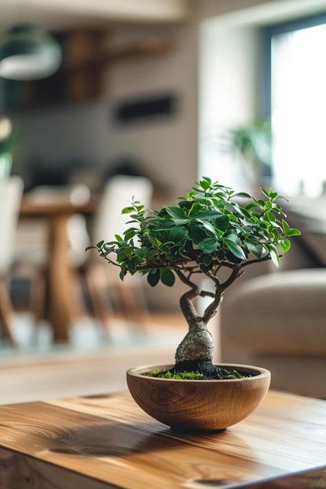 How To Create A Bonsai Tree From A Branch: Beginner's Guide Bonsai Living Room, Bunny Ideas, Pre Bonsai, Bonsai Tree Care, Backyard Balcony, Plant Decor Indoor, Miniature Trees, Plants Indoor, Bonsai Plants