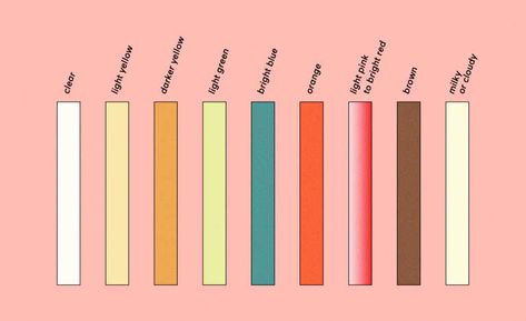 Pee Color Chart: What Your Urine Shade Says About Your Health Green Urine, Pee Color, Orange Pee, Food Coloring Mixing Chart, Cloudy Urine, Food Coloring Chart, Magnesium Foods, Mouth Wrinkles, Methylene Blue