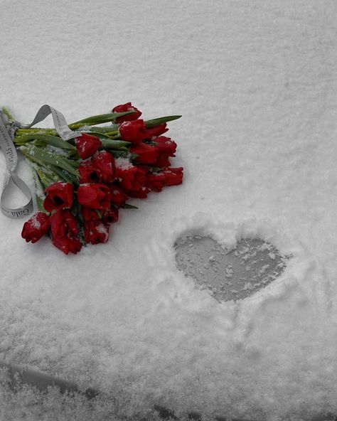 Heart Snow, Unique Floral Arrangements, Instagram Heart, I Love Winter, Nothing But Flowers, Trending Pins, Iphone Wallpaper Quotes Love, Red Tulips, Winter Flowers