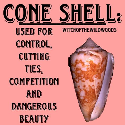 WitchOfTheWildWoods Cowrie Reading, Seashell Magick, Grimoire Topics, Siren Magic, Shell Magic, Sea Witchcraft, Alchemy Elements, Crystal Seashells, Water Witch