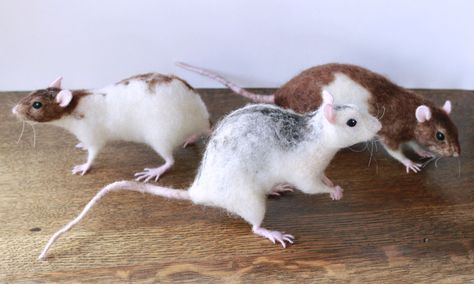 Felted rats by Ainigmati Needle Felted Rat, Felt Creatures, Pet Rat, Textile Art Dolls, Needle Felting Projects, Pet Rats, Needle Felt, Needle Felted Animals, Amazing Animals