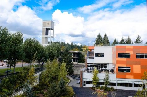 Protests over race erupted last week at Evergreen State College, and a heated national debate over freedom of speech and race followed. On Thursday, school officials closed the campus. Diversity In The Classroom, Faculty Meetings, Olympia Washington, Evergreen State, Art Therapy Activities, Liberal Arts, State College, Freedom Of Speech, Therapy Activities