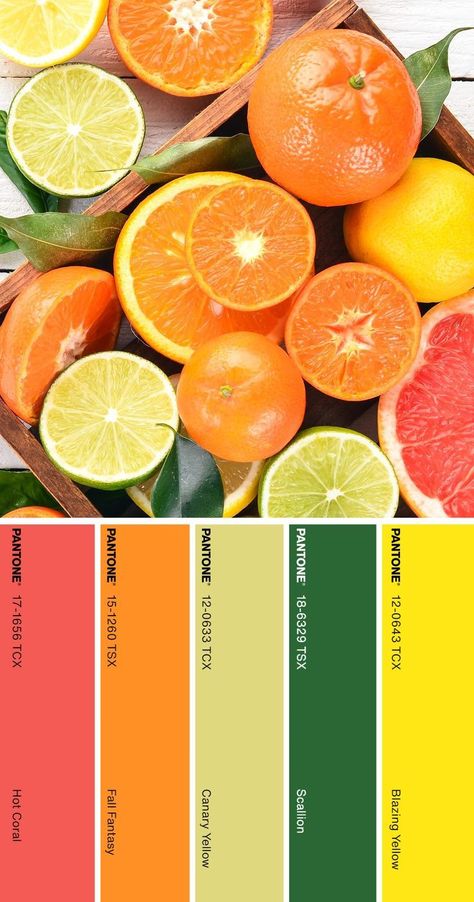 Italian Color Palette, Citrus Kitchen Decor, Color Palette Pantone, Pantone Color Palette, Citrus Kitchen, Style Tips And Tricks, Yellow Pantone, Citrus Wedding, Pantone Colour Palettes