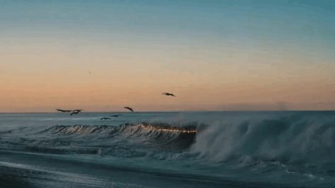 Morning Beach GIF Ocean Gif, Image Nature, Aesthetic Gif, Fan Fiction, Character Aesthetic, Beach Photos, Amazing Nature, Nature Pictures, Beach Pictures