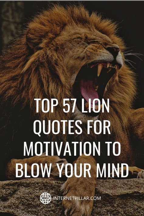 Quotes On Lion, Lion Quotes Wallpaper, Quotes With Lion Images, Lion Strength Quotes, Loin Quote, Quotes About Lions Strength, Lion Pride Quotes, Lion Tattoo Quotes, Lions Quotes Strength