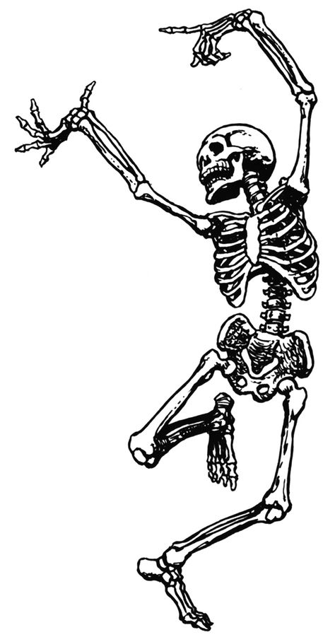 dancing-skeleton-clipart                                                                                                                                                      More Marionette Tattoo, Kunst Tattoos, Skeleton Dance, Skeleton Tattoos, Soyut Sanat Tabloları, Skeleton Art, A Skeleton, Skeletal, Skull And Bones