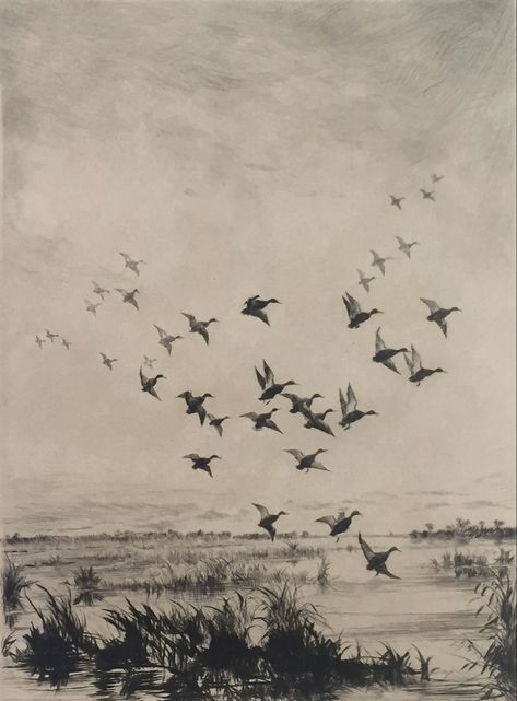 Duck Hunting Tattoos, Cabin Artwork, Landscape Drawing Tutorial, Waterfowl Art, Hunting Photography, Fly Drawing, Hunting Tattoos, Dry Point, Canadian Geese