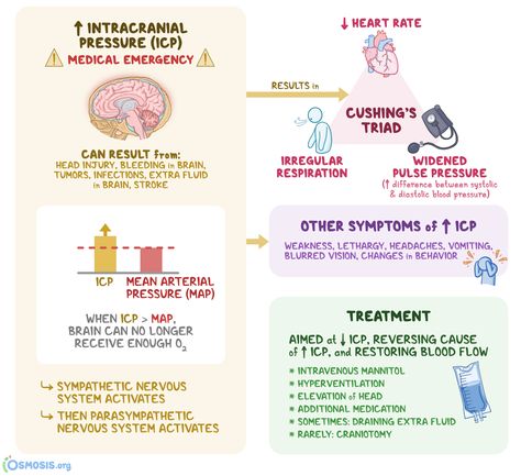 Intra Cranial Pressure, Increased Intracranial Pressure Nursing, Cushing Triad Nursing, Intracranial Regulation Nursing, Icp Nursing Notes, Increased Icp Nursing, Increased Intracranial Pressure, Cushings Triad, Intracranial Pressure Nursing