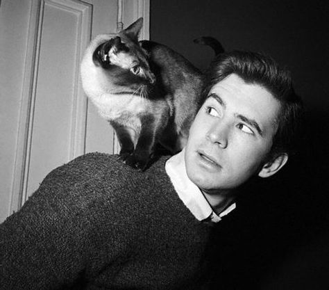 Anthony Perkins | Classic Movie Stars Spending Time With Their Pets Celebrities With Cats, Patricia Highsmith, Men With Cats, Anthony Perkins, People Poses, Classic Movie Stars, Cat People, Vintage Cat, 인물 사진