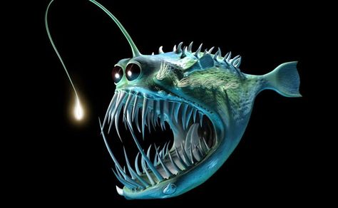 Angler Fish Costume, Angler Fish Art, Angler Fish Tattoo, Scary Fish, Underwater Tattoo, Fish Costume, Marianas Trench, Fishing Photography, Deep Sea Creatures