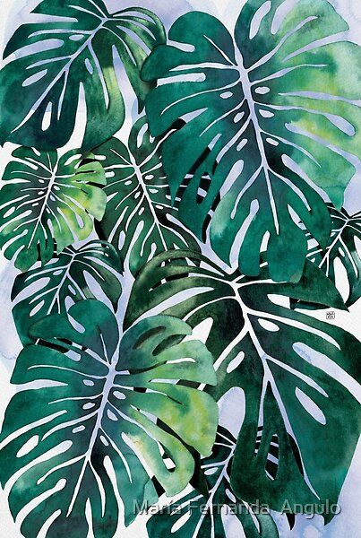 Artwork of a monstera's leaves in watercolor. Diy Ton, Leaves In Watercolor, Watercolor Pattern Design, Art Expressions, Plant Painting, Illustrator Artist, Creative Illustration, Plant Print, Natural Forms