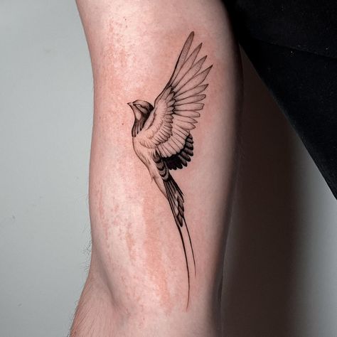 Fineline Bird Tattoo, Bird Fine Line Tattoo, Dutch Tattoo, Swallow Tattoo Design, Swallow Bird Tattoos, Parrot Tattoo, Amsterdam Tattoo, Sailor Tattoo, Swallow Tattoo