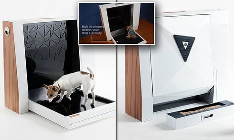 Dog Toilet Indoor, Dog Mansion, Dog Equipment, Dog Toilet, Dog Bathroom, Dog Garden, Dog Steps, Indoor Dog, Doodle Dog