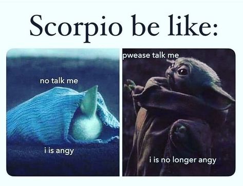 Scorpio Pictures, Scorpio In Love, Scorpio And Scorpio Relationship, The People Of Scorpio, Scorpio Placements, Pieces And Scorpio, Sagittarius Quotes Facts, Scorpio Sexuality, Zodiac Quotes Scorpio