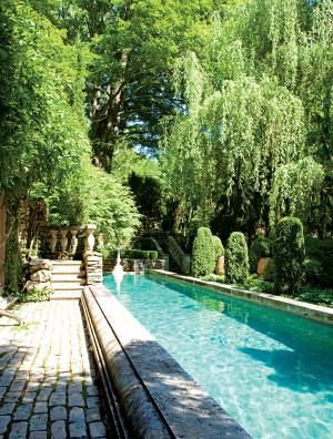 home of michael trapp Backyard Area, Small Pool Design, Backyard Seating, Dream Pools, Lap Pool, Have Inspiration, Beautiful Pools, Small Pool, Swimming Pool Designs