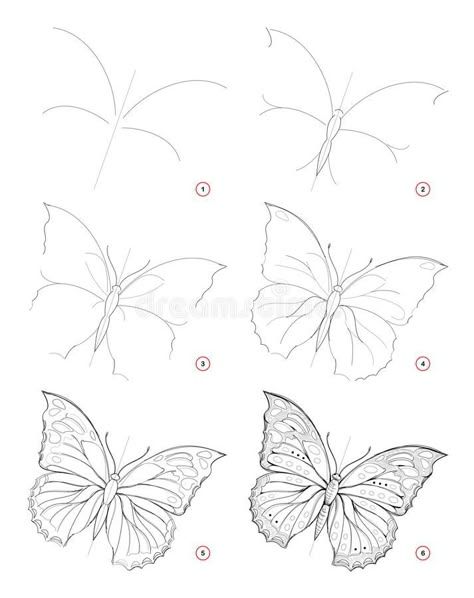 How To Draw Butterflies, Butterfly Drawing Step By Step, How To Draw A Butterfly, Vinyl Record Painting Ideas, Butterfly Drawing Outline, How To Draw Butterfly, Draw Butterfly, Record Painting Ideas, Vinyl Record Painting