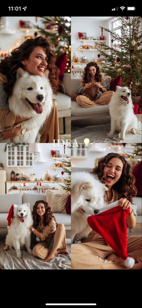 Christmas Poses With Dog, Mom And Dog Photoshoot Christmas, Christmas Photos With Dogs Xmas Cards, Owner And Dog Christmas Photo, Holiday Photoshoot With Dogs, Dog Owner Christmas Pictures, Christmas Card With Dog Single, Christmas Dog Photoshoot With Owner, Christmas Pet Photo Ideas