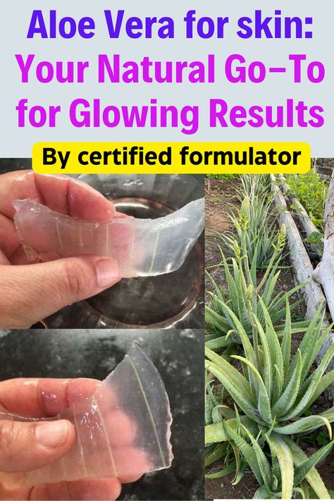 Professional demonstration of crystal clear aloe vera gel extraction process next to mature plant showing skincare preparation techniques. Alovera Gel For Face At Night, Homemade Aloe Vera Gel, Diy Aloe Vera Gel, Aloe Vera Recipes, Skin Recipes, Natural Aloe Vera Gel, Aloe Vera Benefits, Aloe Vera For Skin, How To Reduce Pimples