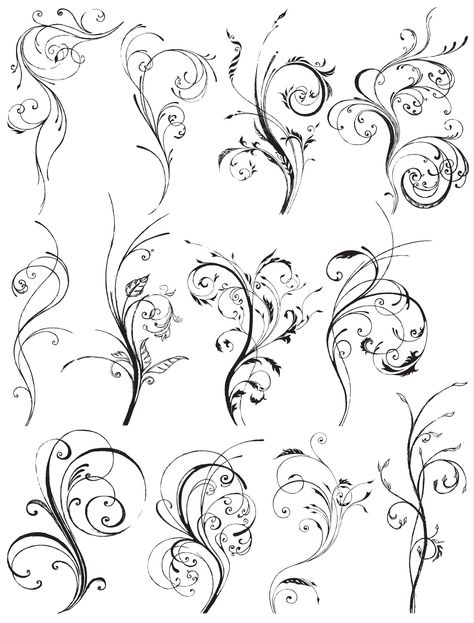 Drawing Swirls, Swirl Tattoo, Small Flower Tattoos, Vector Poster, Vine Tattoos, Desenho Tattoo, Spine Tattoos, Pattern Tattoo, Flower Tattoo Designs