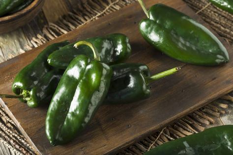 Poblano Peppers: Mexico's Mild Chili - PepperScale Mole Poblano, Poblano Pepper, Chili Relleno, Stuffed Anaheim Peppers, Hot Pepper Seeds, Chile Poblano, Chile Guajillo, Mole Sauce, Poblano Peppers