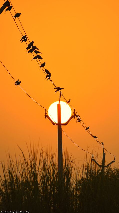 Electricity Pylon Aesthetic, Photographing Aesthetic, Sun Pics, Sun Effect, Sun Photos, Sun Images, Sun Pictures, Pictures Of The Sun, Incredible Pictures