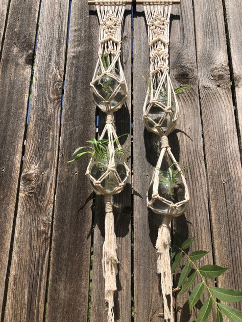 Crochet Propagation Station, Macrame Propagation Station Diy, Macrame Propagation Station, Macrame Propagation, Diy Propagation, Hanging Propagation Station, Hanging Propagation, Courtyard Decor, Wine Bottle Planter