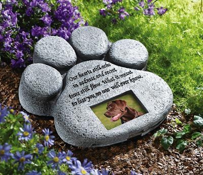 Pet Memorial Garden, Memorial Garden Stones, Pet Memorial Stones, Pet Paw Print, Collections Etc, Memorial Stones, Memorial Garden, Pet Paws, Dog Memorial