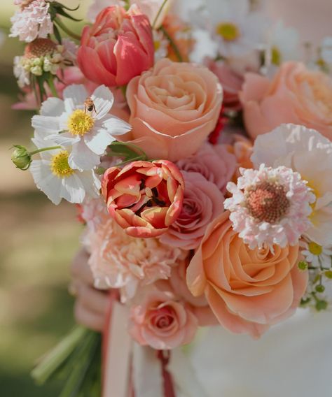 The bees love my bouquets (and I love @catgutsphoto for always capturing them) 🌸🥹🐝 • • • • #brisbaneflorist #thisisbrisbane #flower #brisbaneflowersdelivered #flowerbouquet #blooms #floral #brisbaneevents #flowerlove #brisbaneweddings #weddingflorist #love #brisbanebrides #bridalbouquet #brisbaneflowerdelivery #weddingflowers #freshflowers #flowersofinstagram #brisbaneweddingflorist #brisbanewedding #brisbane #brisbaneflowers #florist #flowers Flowers Delivered, Wedding Florist, Flower Delivery, Fresh Flowers, Brisbane, Bridal Bouquet, Flowers Bouquet, Florist, Bouquets