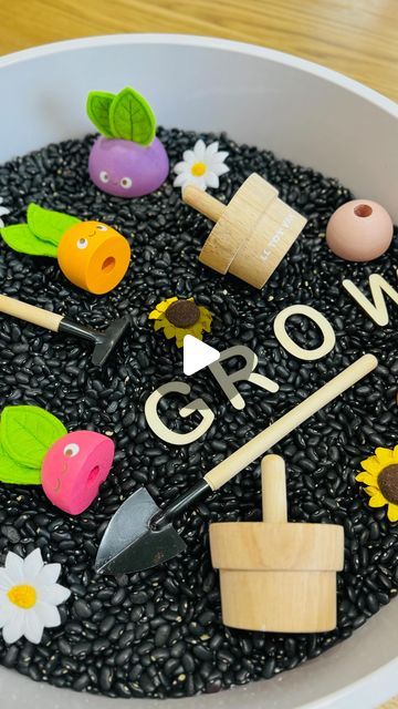 Play Tray Ideas, Sensory Bins, Sensory Play, Wooden Letters, Black Beans, Tray, Van, Toys