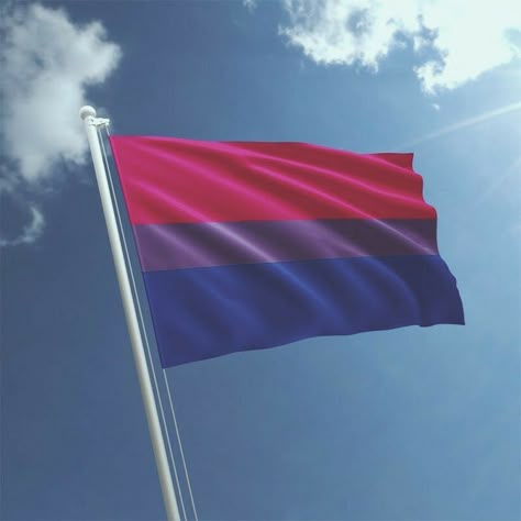 Bi Flag Aesthetic, Gender Fluid Wallpaper, Bisexual Wallpaper Iphone Aesthetic, Bi Flag, Bisexual Flag, Lgbt Flag, Bi Panic, Pride Art, Lgbt Art