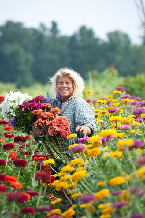 Flower Farm Photography, You Pick Flower Farm Layout, Flower Farms, Formal Garden Design, Zinnia Garden, Slow Flower, Growing Cut Flowers, Flower Garden Plans, Flower Farming