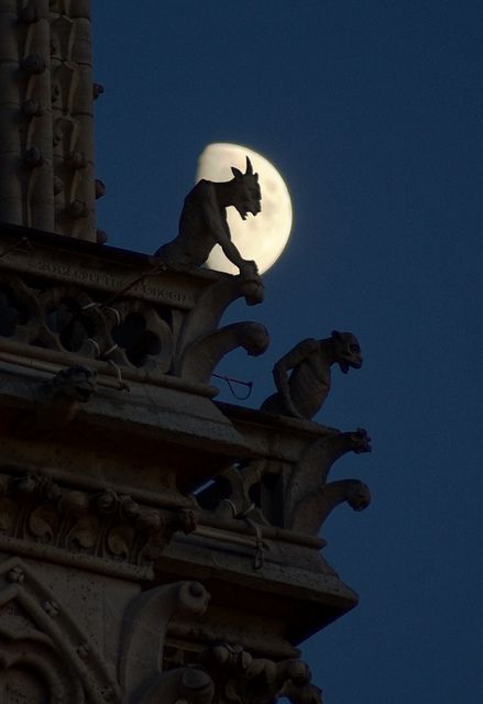 Gargoyle silhouette by mehjg, via Flickr Notre Dame Gargoyles, Gargoyle Statue, Art Bizarre, Gothic Gargoyles, Night Watch, 90s Cartoon, Pixar Movies, Gothic Architecture, Romantic Art