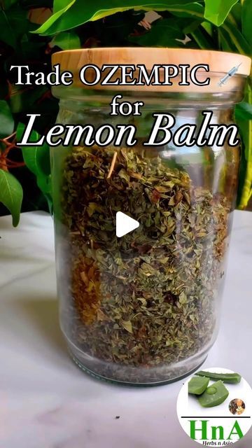 Lemon Balm Ozempic Drink, Lemon Balm Tea Ozempic, Lemon Balm Drink, Lemon Balm Drink Ozempic, Lemon Balm Benefits, Lemon Balm Tea, Herbal Healing, Health Journey, Tea Drinkers