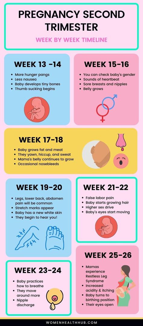 Here's what you should expect in the 2nd trimester of pregnancy. All about second trimester symptoms, essentials and tips. Pregnancy Chart, Pregnancy Facts, First Time Pregnancy, Pregnancy Checklist, Healthy Pregnancy Tips, Pregnancy Info, Pregnancy Guide, Pregnancy Essentials, Pregnancy Information