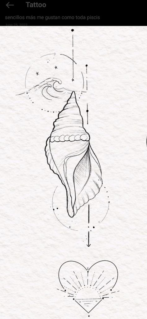 Line Shell Tattoo, Fine Line Shell Tattoo, Mermaid Journal, Shell Tattoo, Plane Tattoo, Minimalistic Tattoo, Shell Tattoos, Ocean Fashion, Moon Drawing