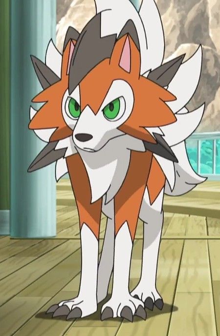 Wolf Pokemon, Dusk Lycanroc, Lycanroc Dusk, Pokemon Lycanroc, Cool Pokemon Pictures, Dog Pokemon, Pokemon 2000, Pokemon Human Form, Friendship Pictures