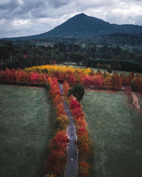 The views and hues Macedon, captured less than an hour from Melbourne in the Daylesford and Macedon Ranges 🍁 📸 via IG/brenton_captures Colorful Photos, Macedon Ranges, Farm Gate, Open Days, Suggestion Box, Public Park, Anzac Day, In Season Produce, Rural Landscape