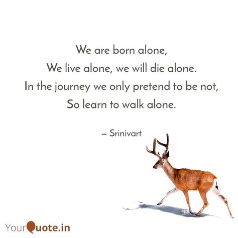 We are born alone,
We live alone, we will die alone.
In the journey we only pretend to be not,
So learn to walk alone. Live Alone Is Best, Walk Alone Caption, Learning To Live Alone, Learn To Live Alone, So Alone, Stay Alone, Best Friend Quotes Meaningful, Always Alone, Quotes Meaningful