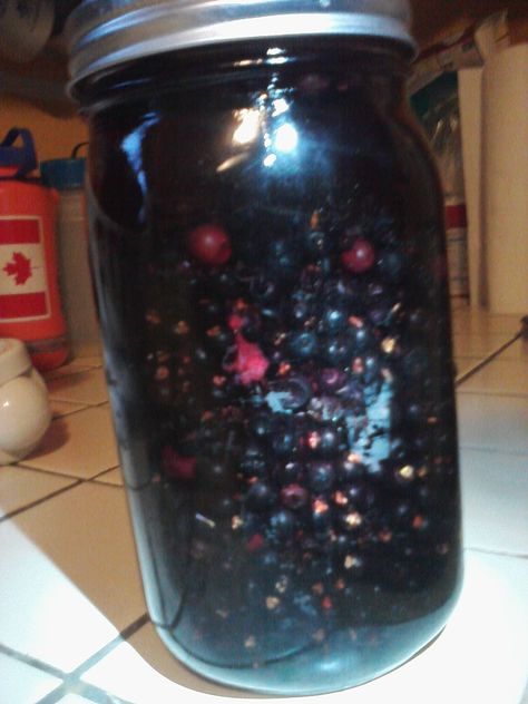 Crowberry Schnapps | Alaska Harvest Rhubarb Liqueur Recipes, Moving To Alaska, Liqueurs Recipes, Berry Picking, Wild Berries, Harvest Recipes, Take A Shot, Wild Berry, Mead