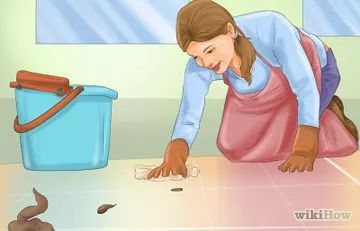 3 Ways to Clean a Dog Crate - wikiHow Crate Train, Train A Puppy, Dog Wound, House Training Puppies, Puppy House, Puppy Biting, Train Your Dog, Crate Training, How To Train