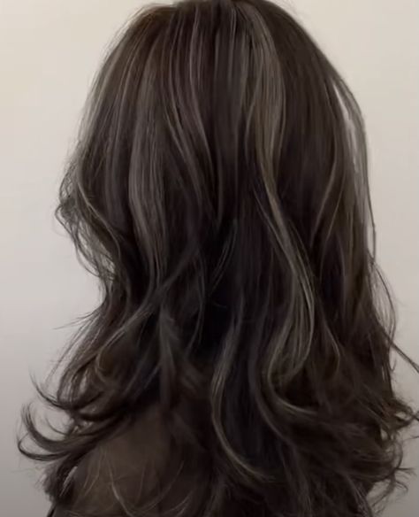 Full Highlights On Brunette Hair, Faded Black Hair, Dyed Hair With Black Hair, Simple Hair Dies Ideas, Basic Hair Dye Ideas, Soft Highlights On Dark Hair, Hair Colors That Compliment Green Eyes, Dark Ashy Black Hair, Surface Highlights Hair