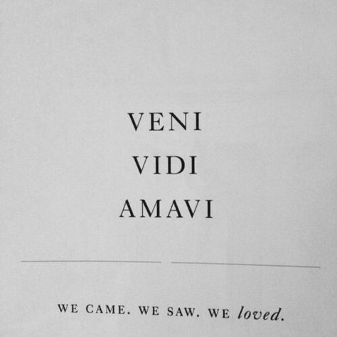 Veni Vidi Amavi Latin for "I came, I saw, I loved" Veni Vidi Amavi, French Quotes, Three Words, Amazing Quotes, Instagram Captions, Pretty Words, Art Director, The Words, Beautiful Words